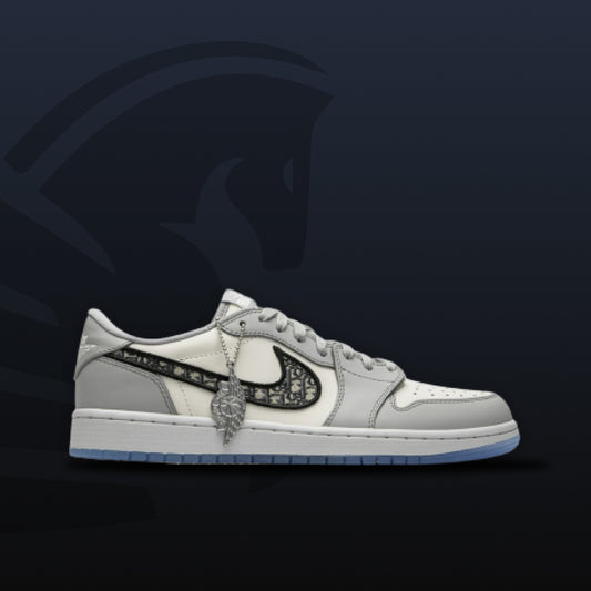 Jordan 1 Retro Low Dior
